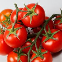 Tomaten3